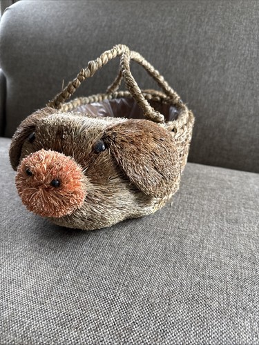 Bottle brush pig shape lined